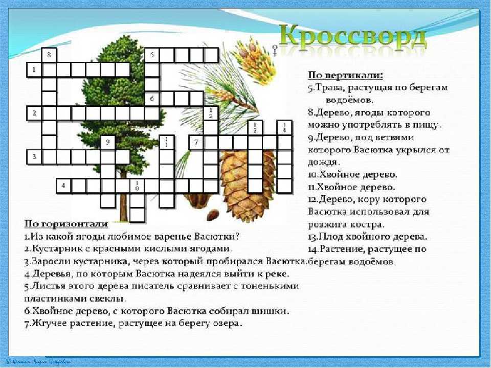 Тест: угадай растение по описанию