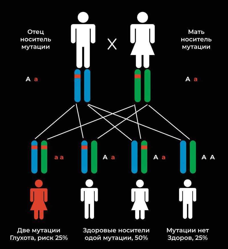 Что дети наследуют на уровне генов от родителей - 6 января 2022 - chita.ru