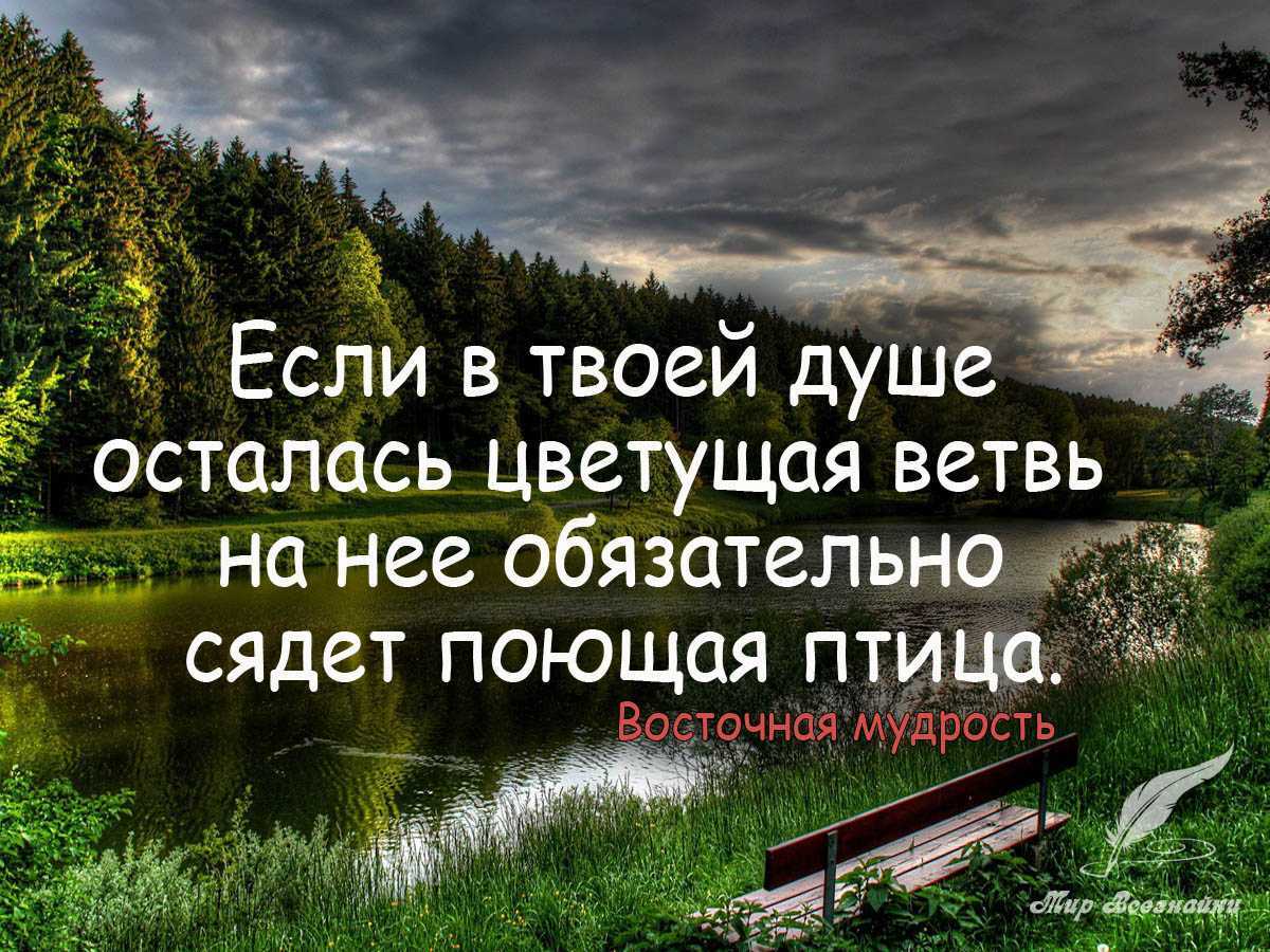 Фразы которые заставляют задуматься о жизни: мудрые советы