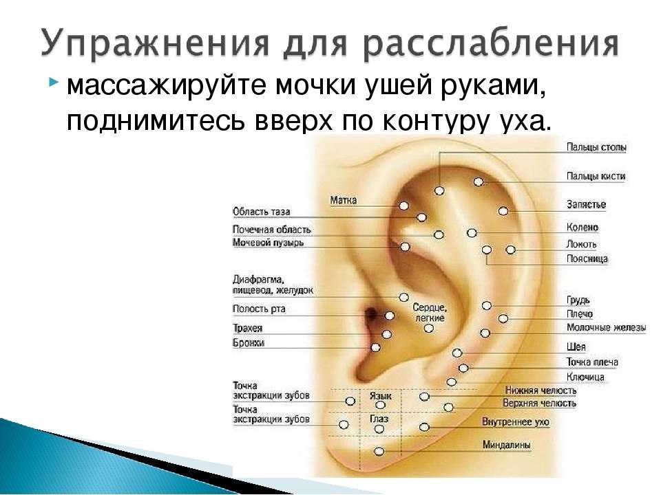 Сходство формы ушей родителей и ребенка: наследственность или случайность?