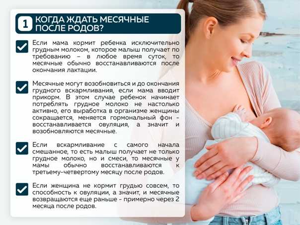 Месячные при грудном вскармливании: когда начинаюся и как идут