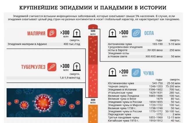 Год с covid-19 - парламентская газета