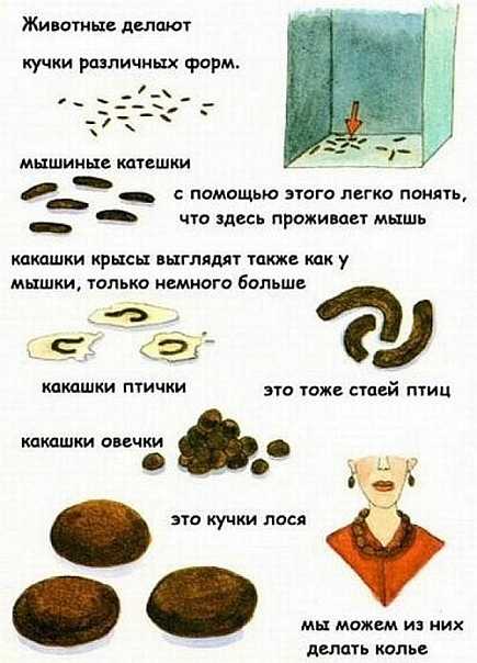 Порой маленькие дети влюбляются в слова, которые у вас сначала вызывают недоумение, а потом раздражение Почему кака, пися, сиси, пуки и прочие гадкие словечки покоряют малышей и что с этом делать