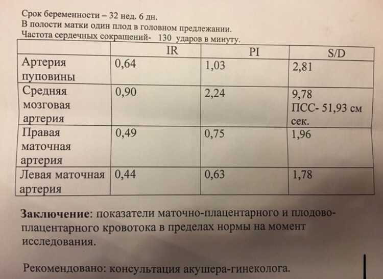 А вы знаете, что находится за пупком: как он выглядит с другой стороны + рисунок его строения изнутри
