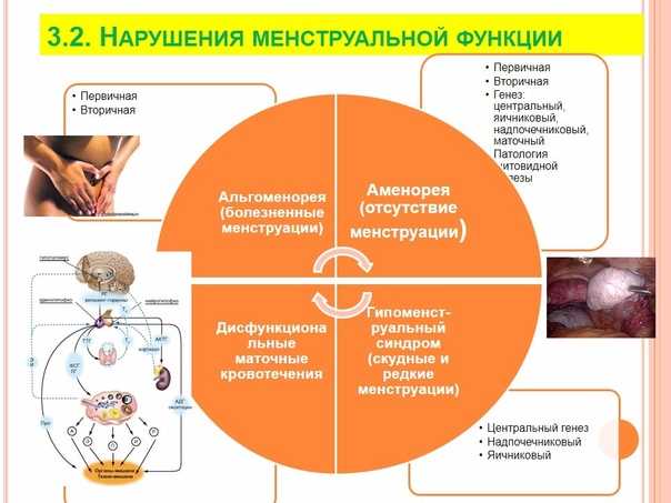 Месячные у подростков: причины задержки, что делать