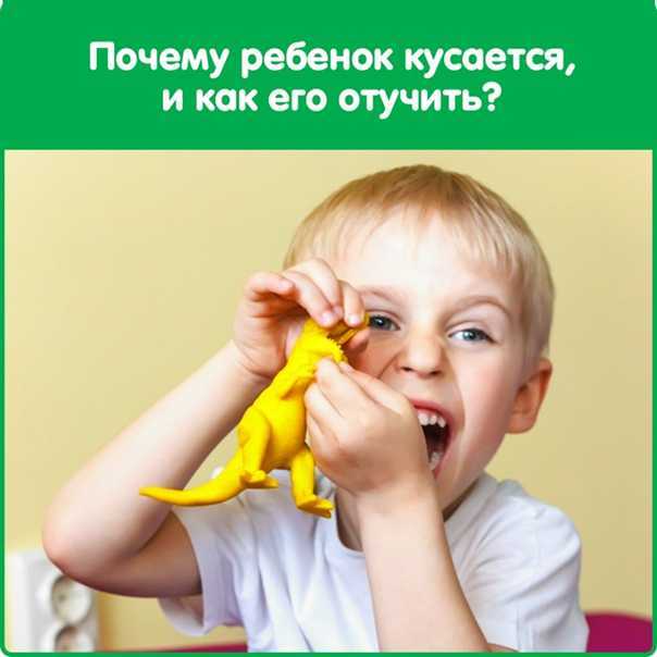 Как отучить ребенка кусать маму и драться: советы психолога - мамазонка