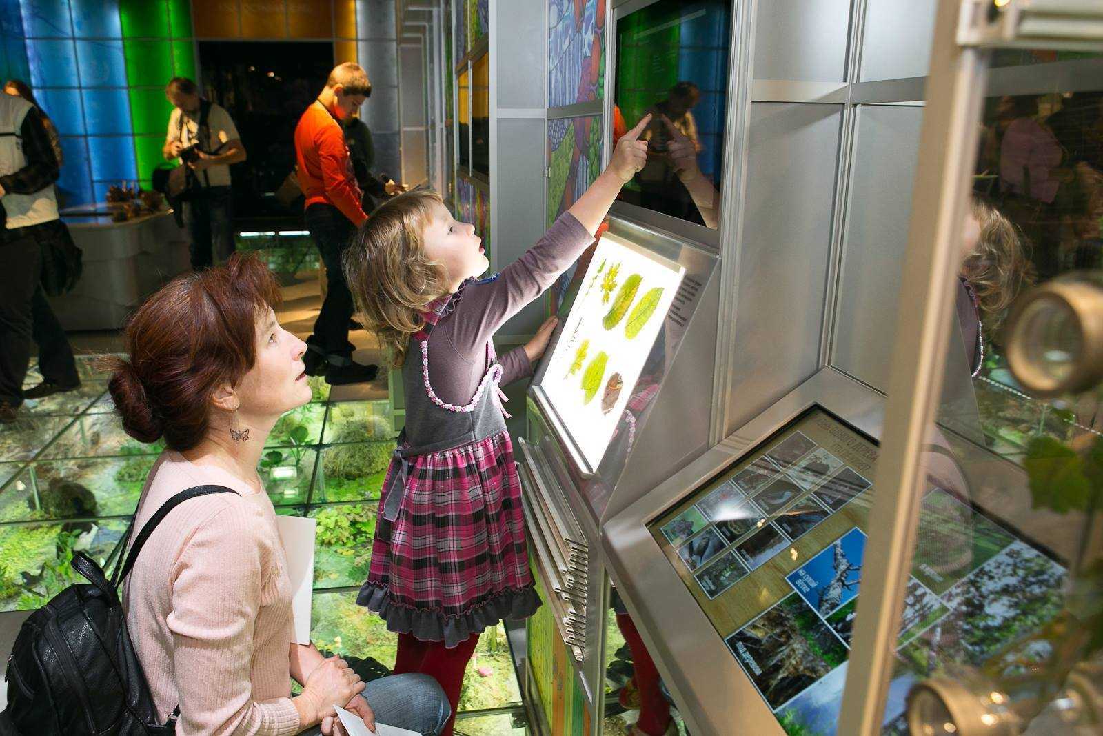 Какие познавательные игры делают в музеях?