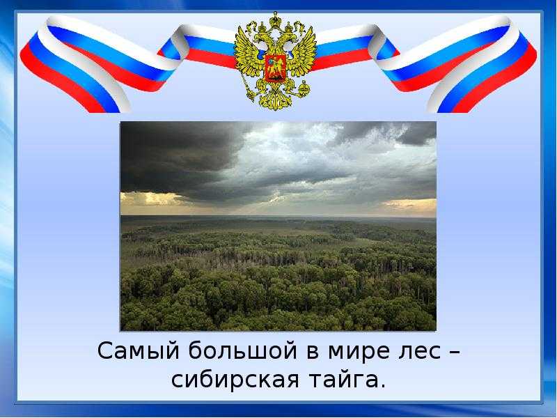 20 интересных загадок в истории россии