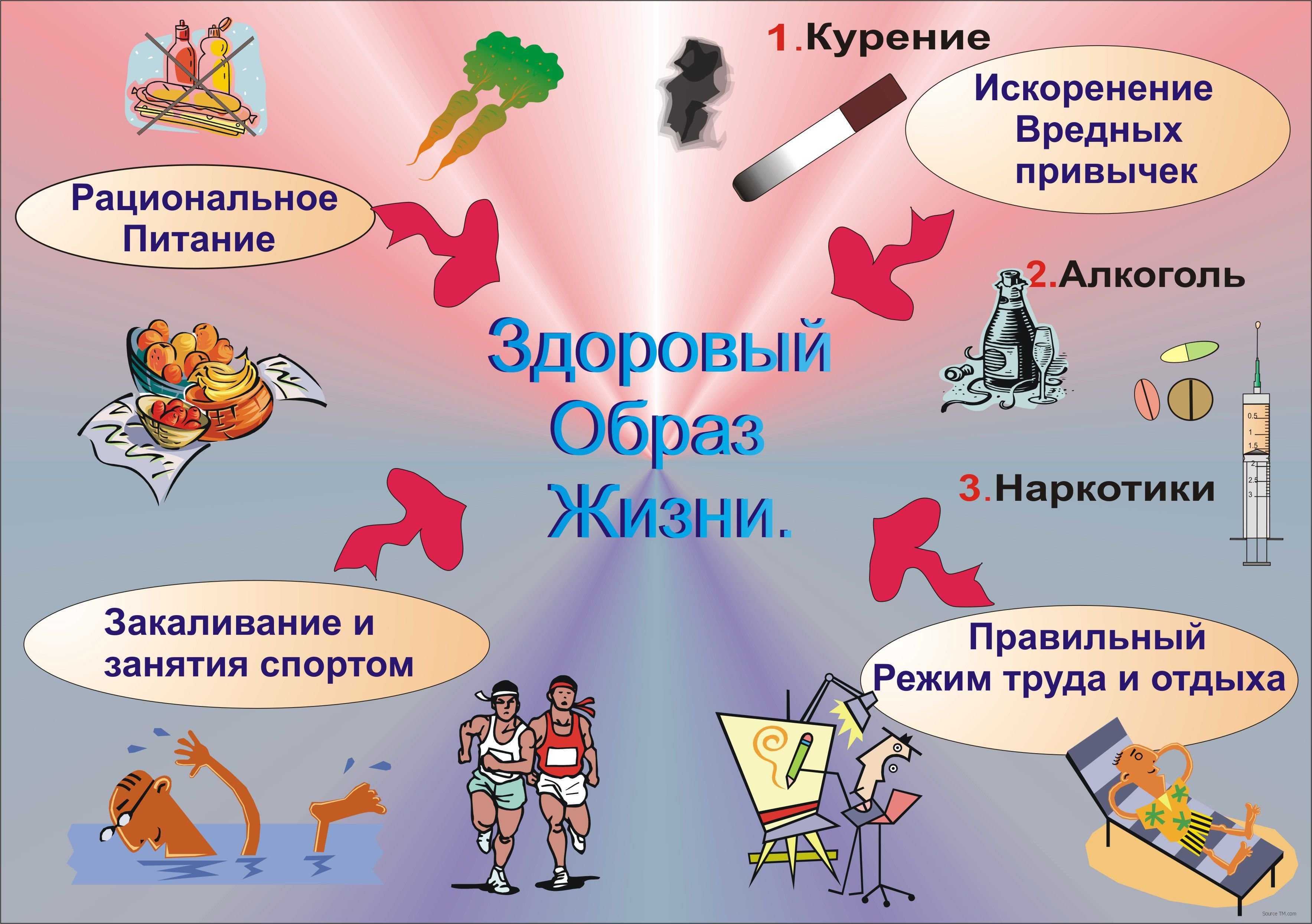 Мультфильм о здоровом образе жизни для начальной школы