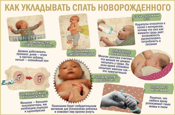 Диана ходаковская: «муж иногда заявляет, что вместе со мной находится в положении» | развлечения и туризм