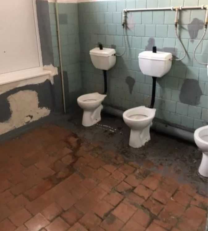 Почему в российских школах плохие туалеты