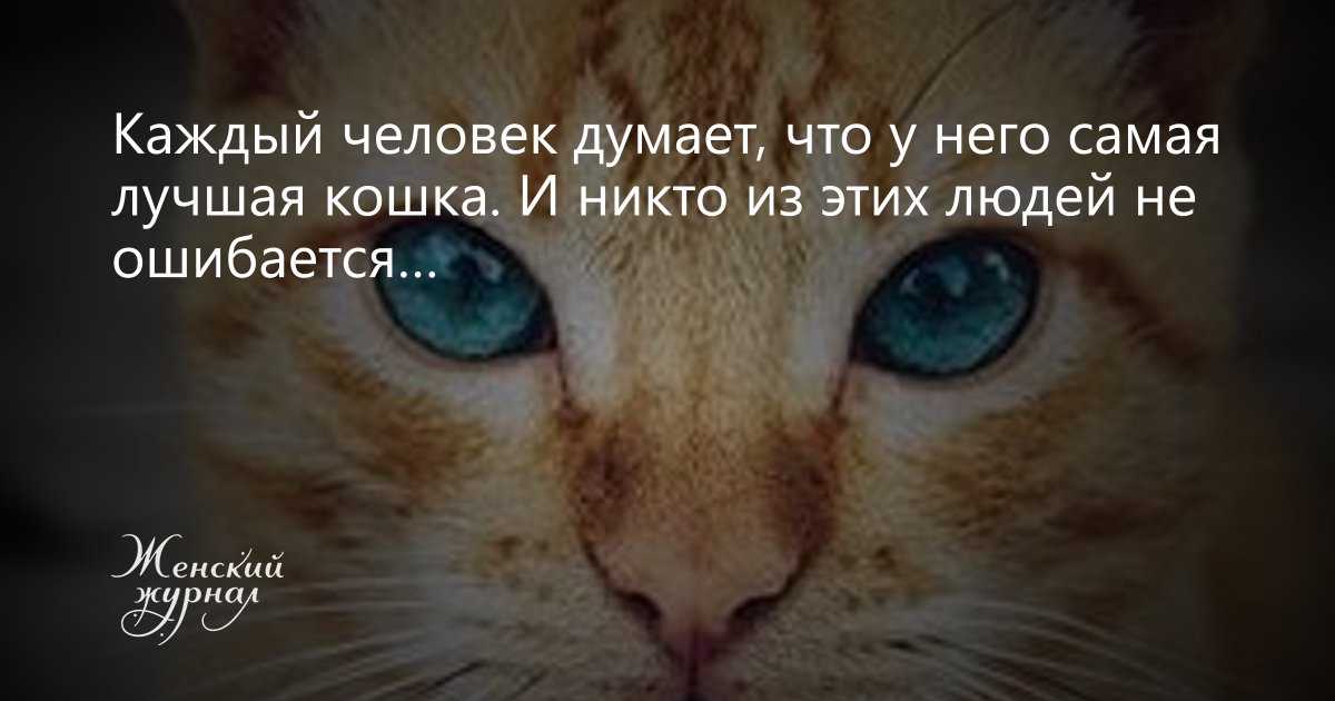 Period-shaming: почему женщины стесняются «красных дней календаря» - умная