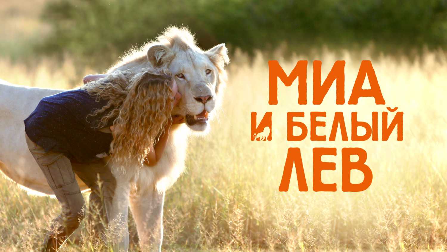 Царь зверей в кино: 10 фильмов о львах