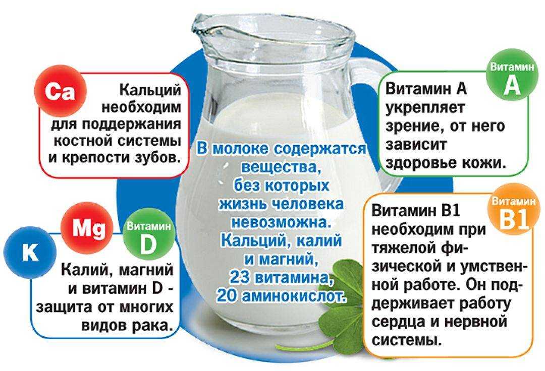 Интересные факты о молоке: топ-10