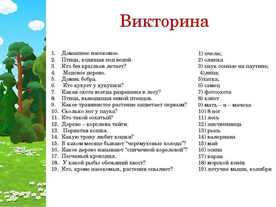 Как отвечать на детские вопросы, заводящие в тупик? | блог 4brain