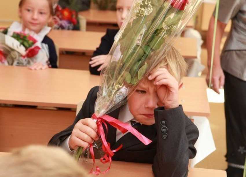 3 степени адаптации к детскому саду и 8 важнейших советов психолога по её улучшению