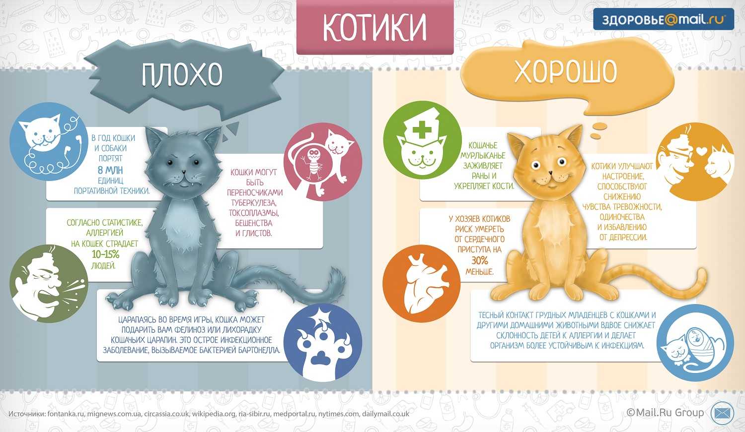 Как познакомить щенка с живущей у вас кошкой: 15 шагов