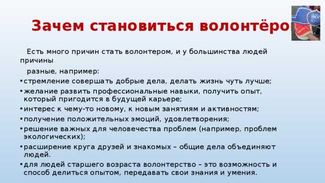 «было тяжело». кинолог, домохозяйка и пенсионерка рассказывают, почему стали волонтерами