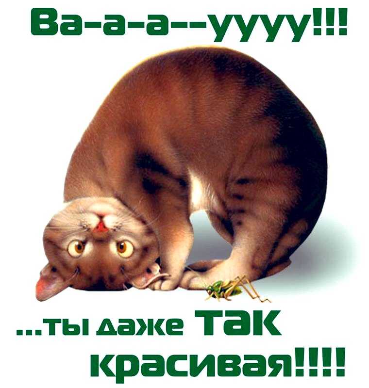 Как реагировать на комплименты. неотразимый комплимент [безотказные приемы влияния]