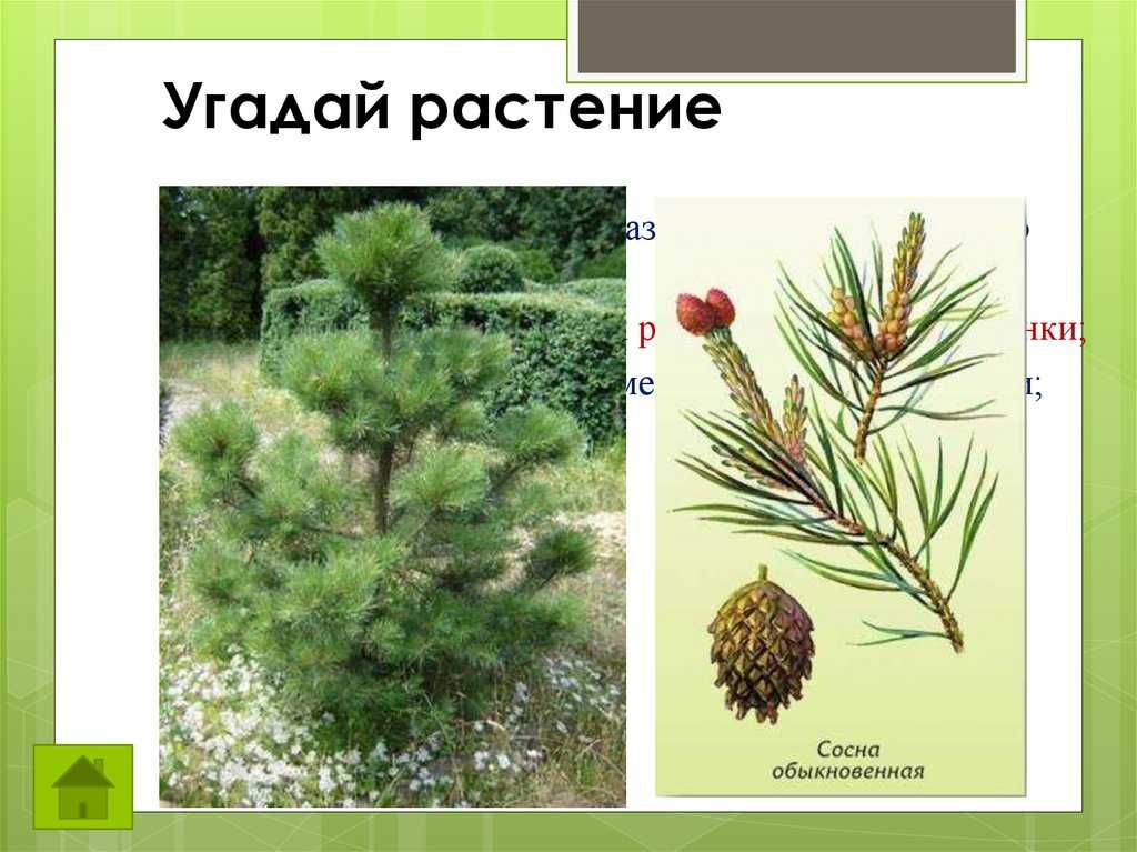 Да-да, иногда можно и перепутать