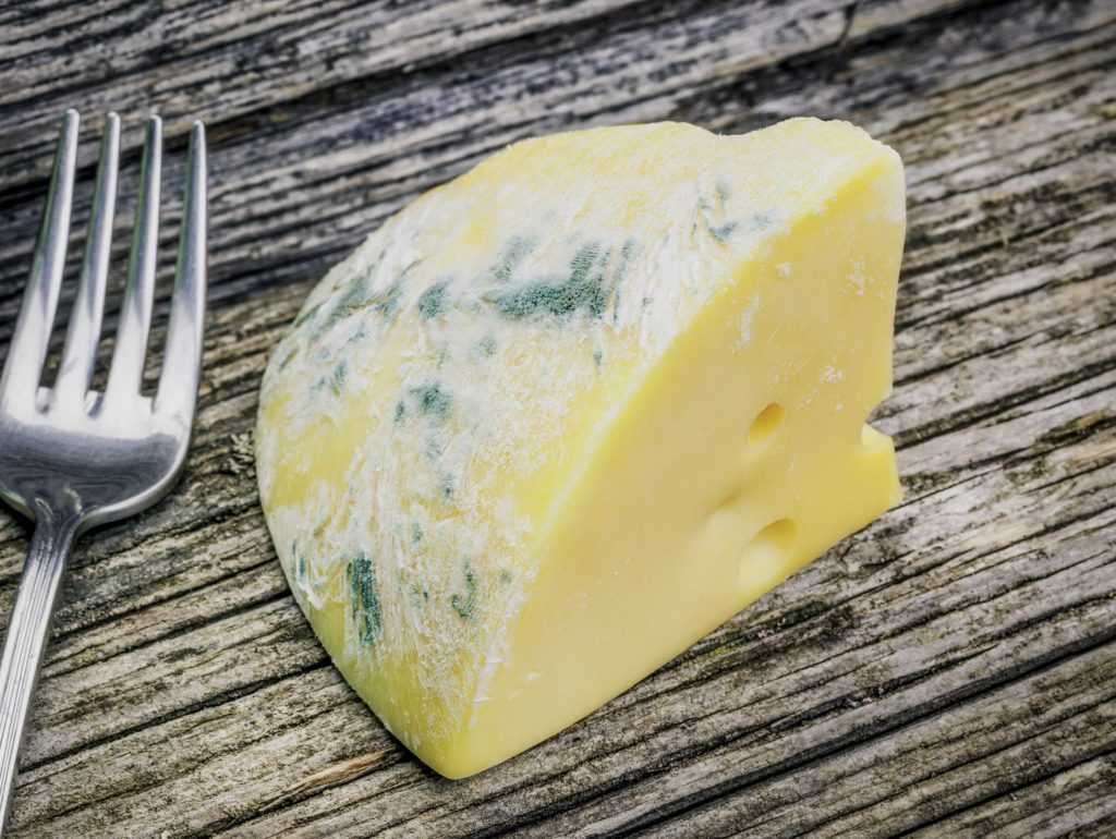 Плесень на хлебе: что будет, если съесть заплесневелый продукт, как лечить такое отравление и как не допустить появления плесневого грибка