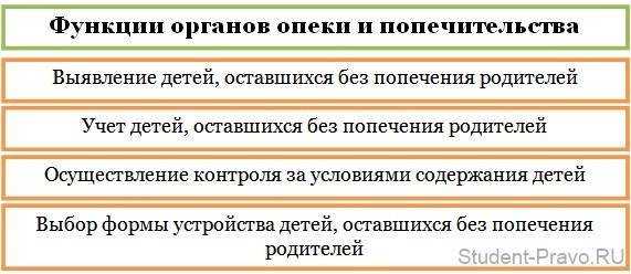 Органы опеки и попечительства: полномочия, обязанности