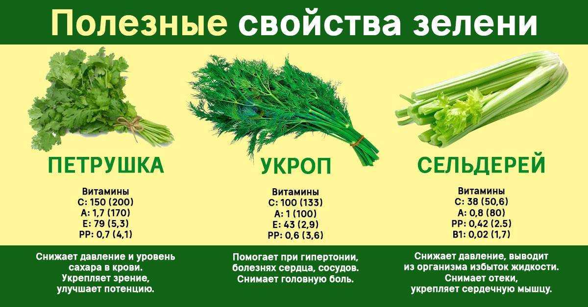 Петрушка в детском питании- энциклопедия детское питание