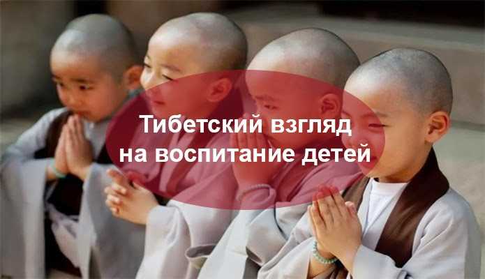 Буддийские монахи-дети - как им живется в монастыре?