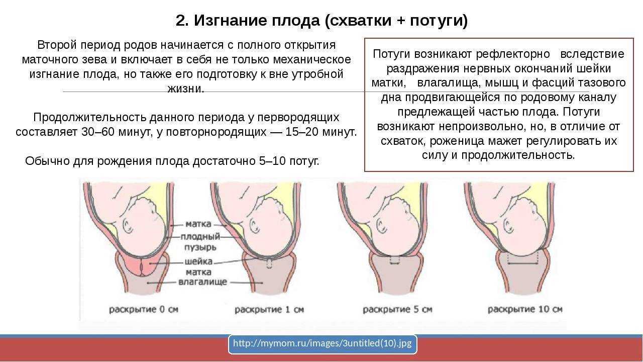 Беременность и спорт