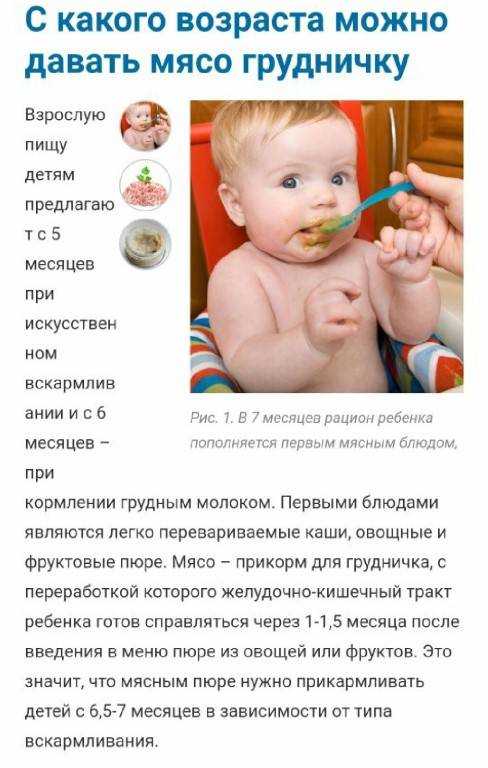 Мясо в детском рационе - когда и какое мясо давать ребенку