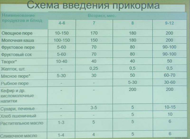 Польза и вред мяса для здоровья человека | польза и вред