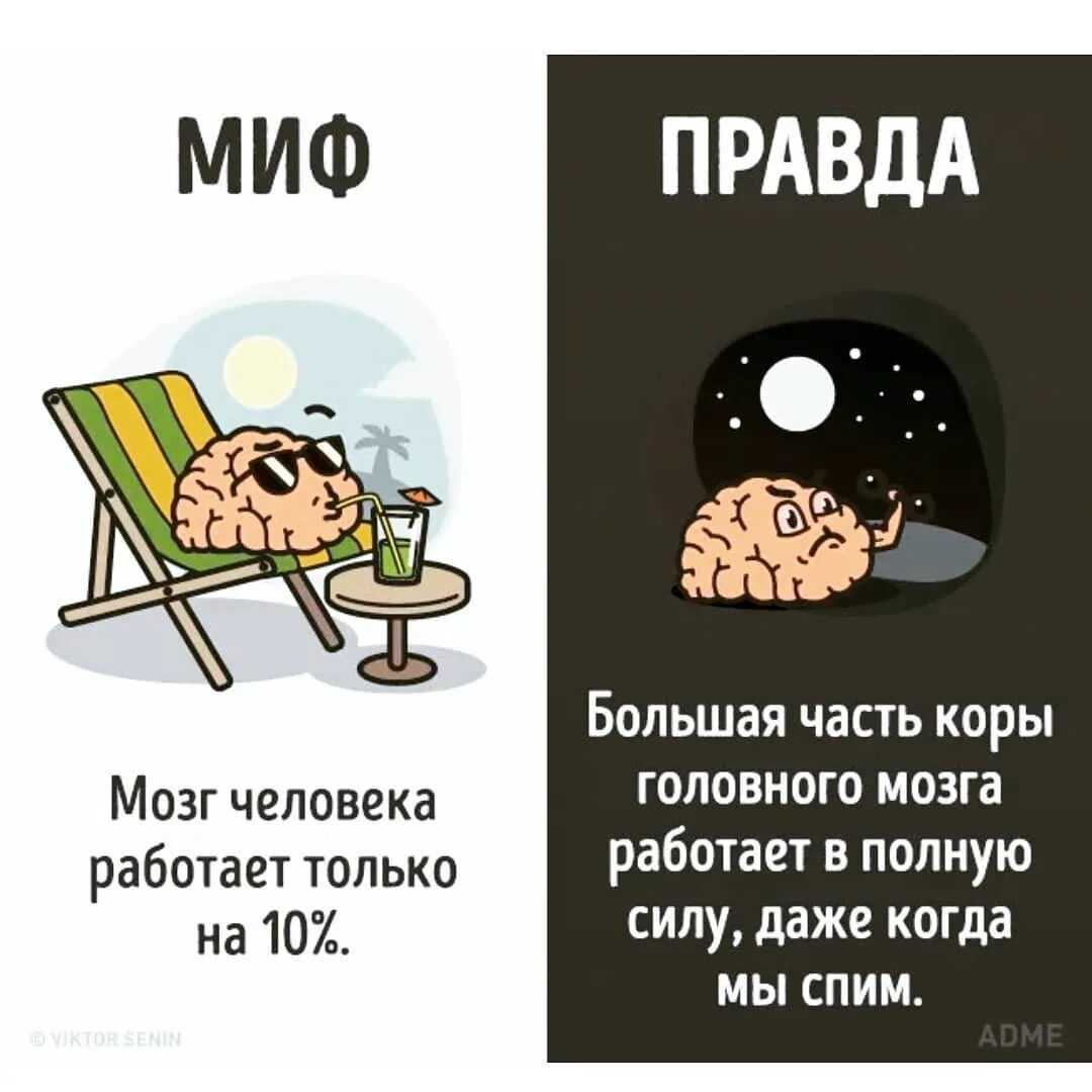 5 фактов о сперме, которые вас удивят