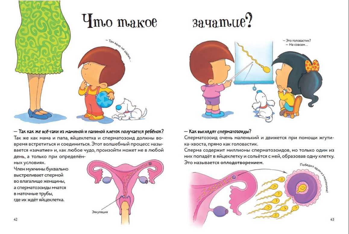 Объясняем ребенку тайну его рождения