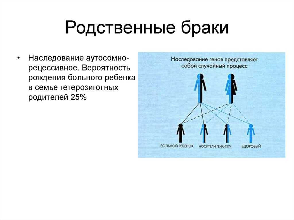 Родственный обмен рассказ ждановны глава 56