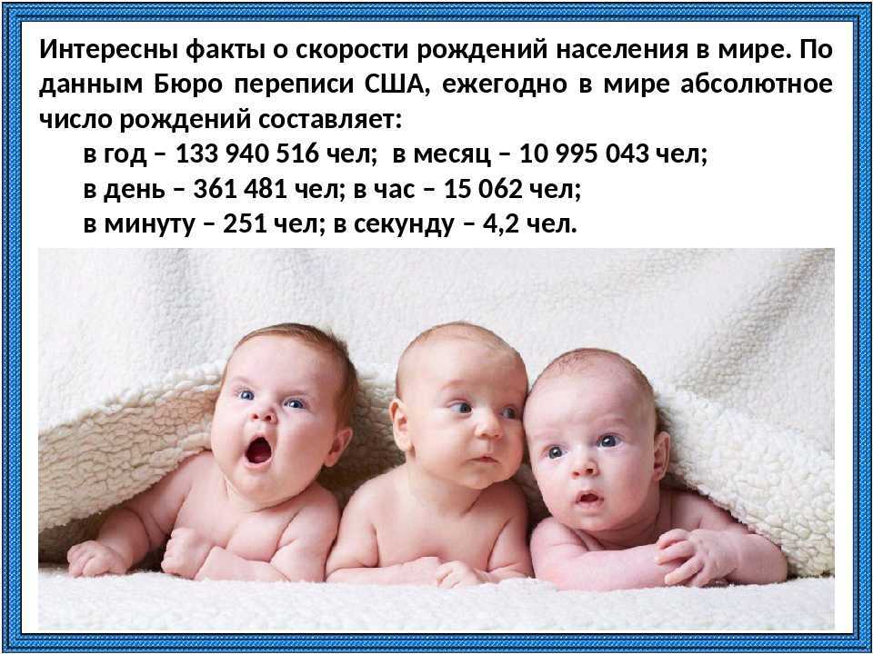 Рождение детей в год петуха. яркие личности и настоящие упрямцы — дети, рождённые в год петуха