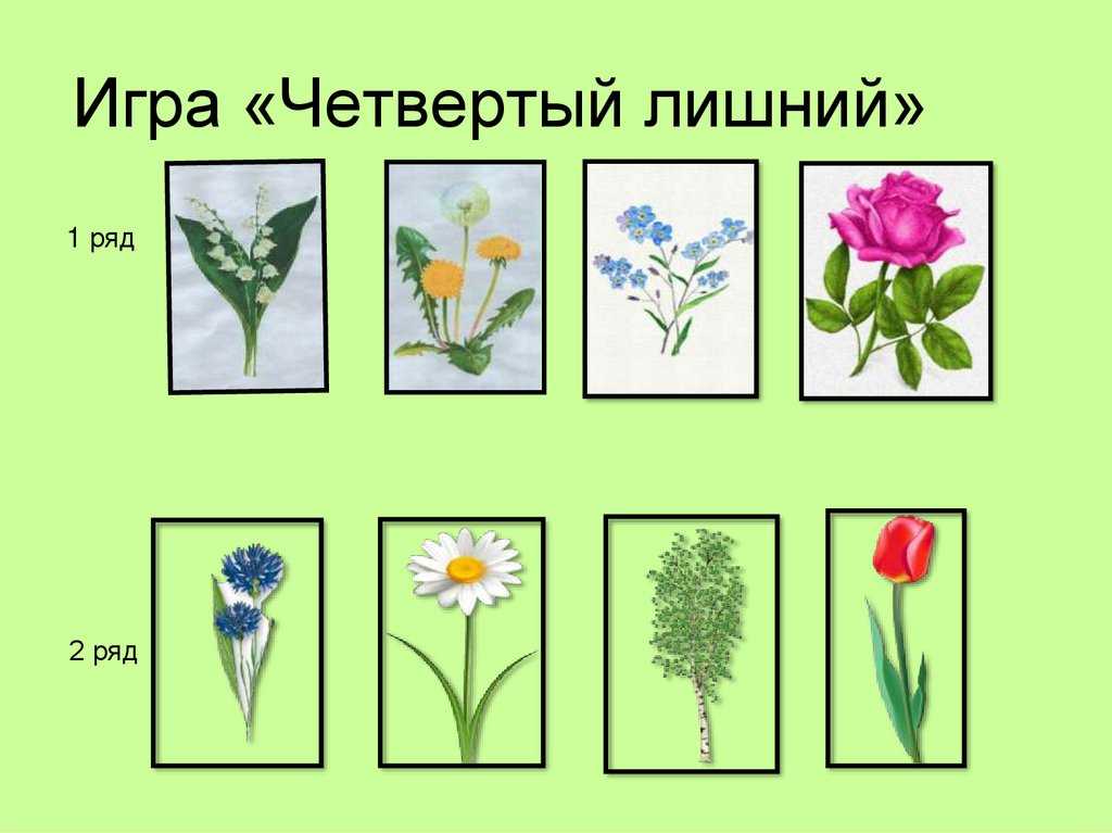 Детская игра "я садовником родился... " - правила. развлечения и игры для детей без компьютера!