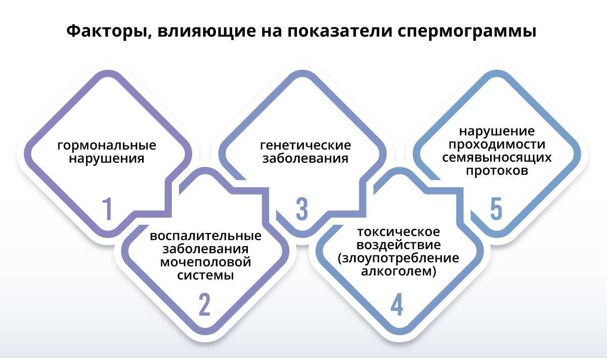 Сколько часов живет сперматозоид во влагалище, матке, коже